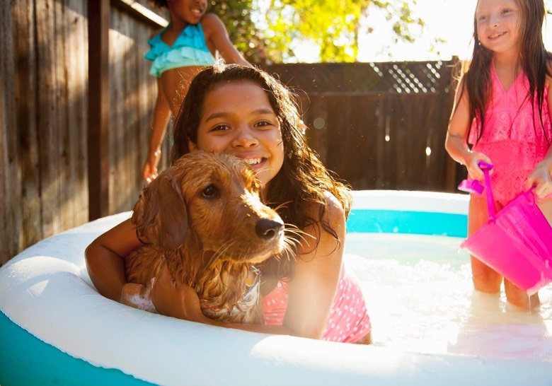 Kids and dog in kiddie pool